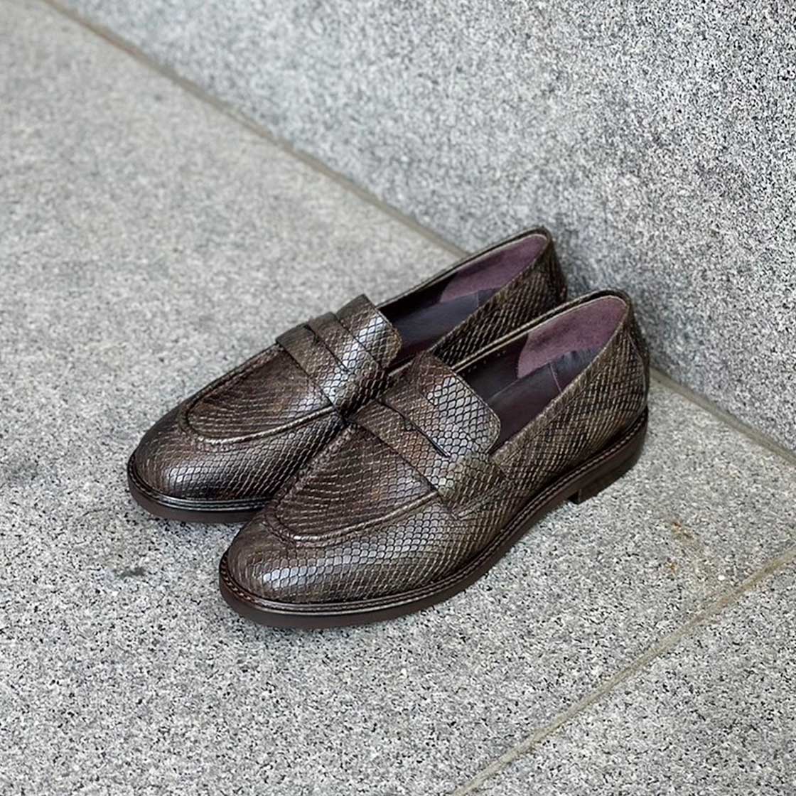 茶パイソン